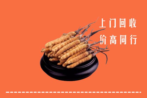 高价求购：玛多县回收散虫草